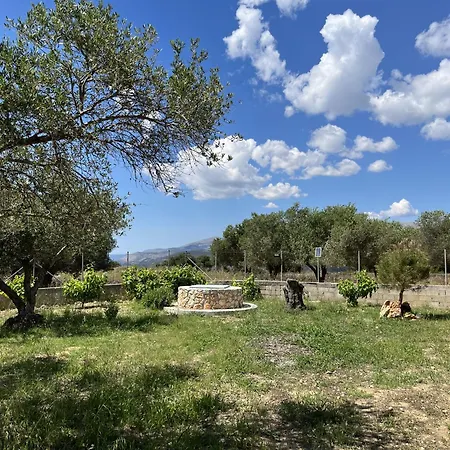 Margarita * Μεταξάτα